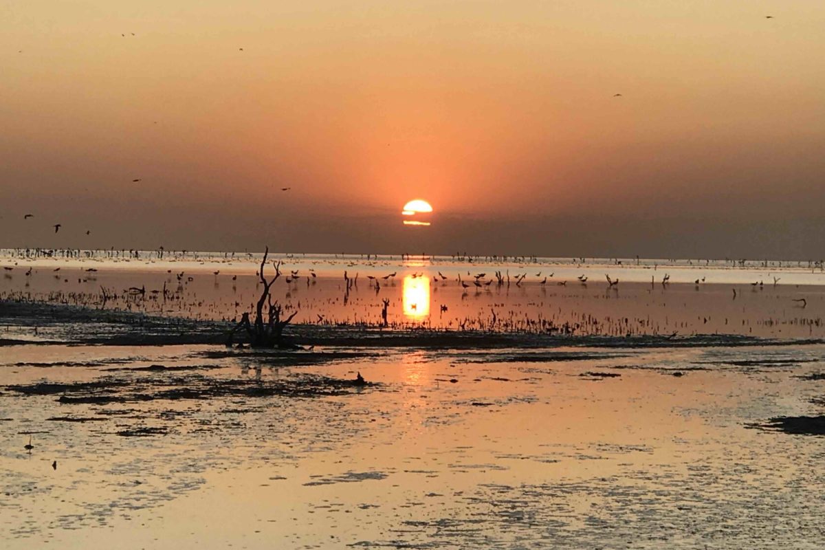 laguna nuevo